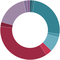 Gráfico que refleja en un rosco todas las audiencias que se han realizado entre Enero y Junio, coloreadas según el ámbito al que pertenecen