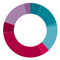 Gráfico que refleja en un rosco todas las audiencias que se han realizado entre Enero y Junio, coloreadas según el ámbito al que pertenecen