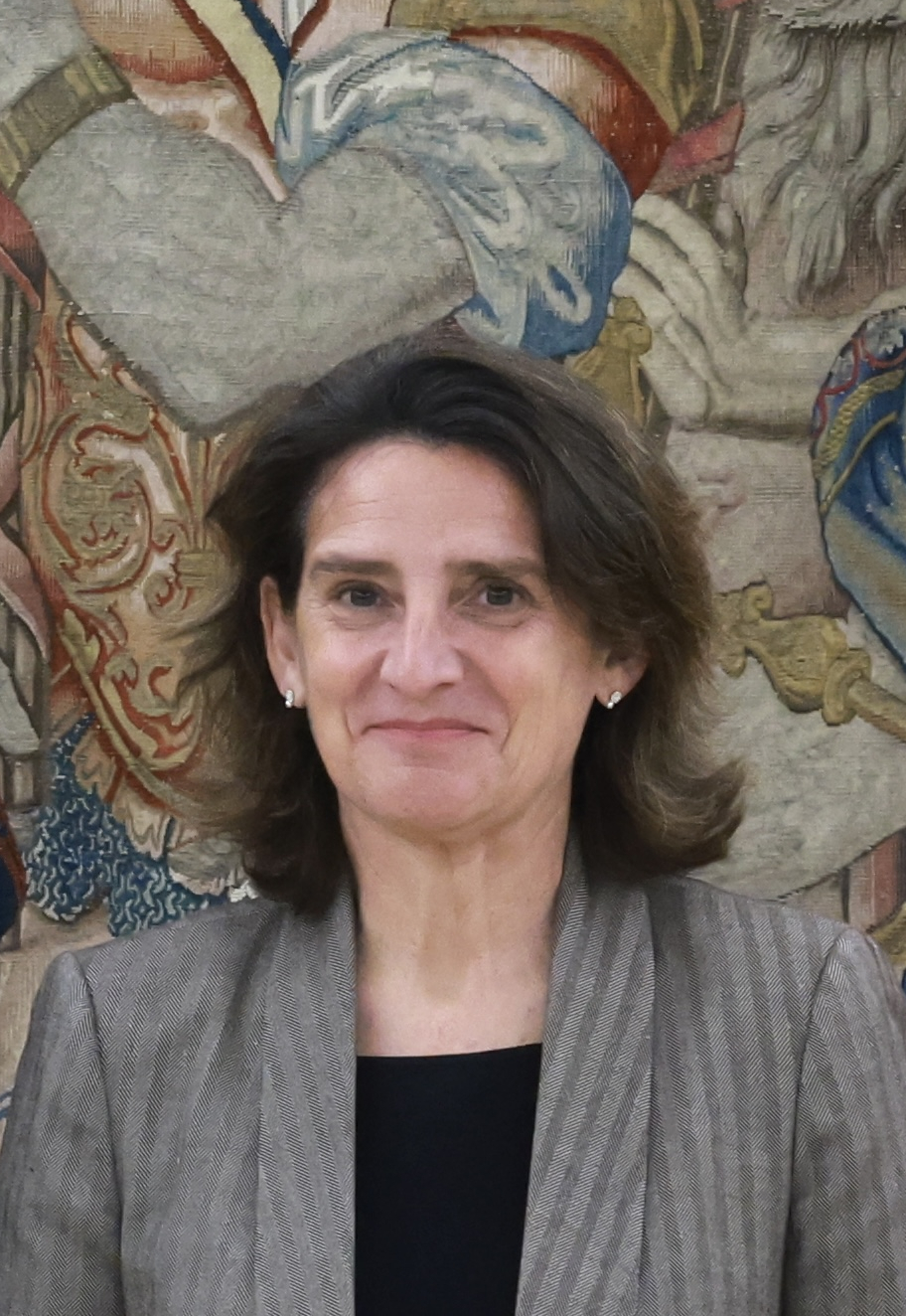 Dña. Teresa Ribera Rodríguez