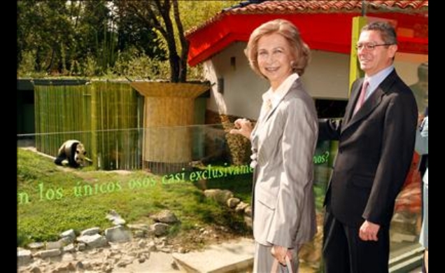 Doña Sofía con el alcalde de Madrid, Alberto Ruiz-Gallardón durante su visita al Zoo Aquarium de Madrid donde ha presidido la presentación de los pand
