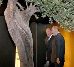 Su Majestad el Rey con el presidente de la Junta de Andalucia, durante la inauguración de la exposición "Tierras del Olivo"