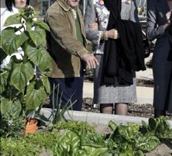 Su Majestad la Reina charla con uno de los internos que le explicó cómo cuida el huerto en el Centro Alzheimer de la Fundación Reina Sofía