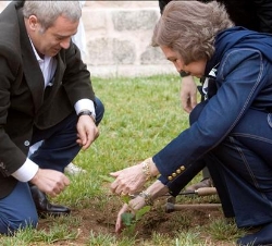 Doña Sofía y el presidente de la Fundación'Apadrina unÁrbol', Félix Abanades, realizan la plantación de unárbol