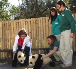 La Reina con los cuidadores de los osos panda durante su visita al Zoo de Madrid