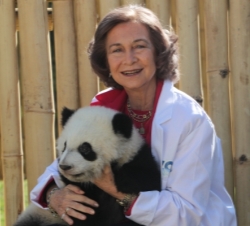 Su Majestad la Reina con uno de los osos panda