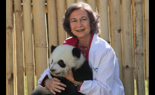 Su Majestad la Reina con uno de los osos panda