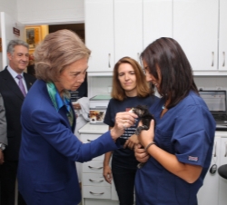 Visita al Centro de Adopción de Animales Abandonados de la Asociación Nacional Amigos de los Animales (ANAA). Doña Sofía acaricia a uno de los animale