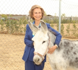 Visita al Centro de Adopción de Animales Abandonados de la Asociación Nacional Amigos de los Animales (ANAA). Doña Sofía, con un burro en las instalac