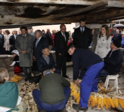 Sus Altezas Reales los Príncipes de Asturias observan como un grupo de vecinos realizaba la esfoyaza del maíz