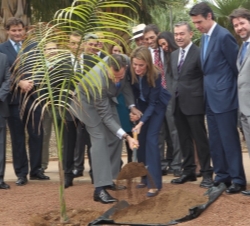 Don Felipe y Doña Letizia plantan una palmera