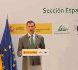 Don Felipe, durante su intervención.