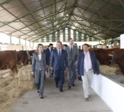 Don Felipe y Doña Letizia recorren el Pabellón vacuno