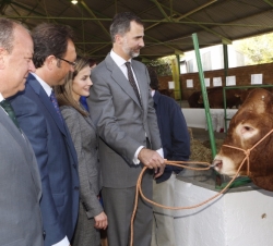 Sus Majestades los Reyes en el Pabellón vacuno de la Feria