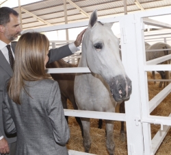 Don Felipe y Doña Letizia durante su visita al Pabellón equino