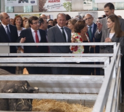 Sus Majestades los Reyes durante su recorrido por el Pabellón porcino