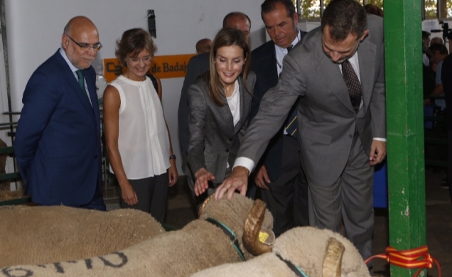 Sus Majestades los Reyes durante su recorrido por la nave de ovino