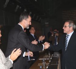 Don Felipe durante la entrega de uno de los galardones