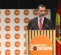 Don Felipe durante sus palabras en el acto de entrega de los Premios Codespa
