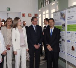 Doña Letizia, junto a las autoridades que la acompañaban, durante su recorrido por la exposición de carteles explicativos sobre la integración educati