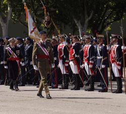 Su Majestad el Rey durante la revista