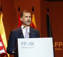 Don Felipe durante su intervención en la entrega de los Premios Fundación Princesa de Girona 2015