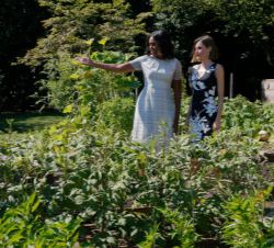 Michelle Obama muestra a Doña Letizia, el jardín-huerto de la Casa Blanca