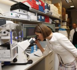 Doña Letizia observa a través de uno de los microscopios del los laboratorios de investigación de la unidad pediátrica de lucha contra el cáncer