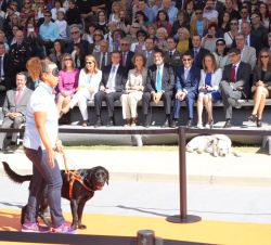 Doña Sofía contempla desde la grada el desarrollo de la exhibición de perros guía