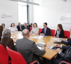 Vista general de la reunión de trabajo de la Junta Directiva de FEDER