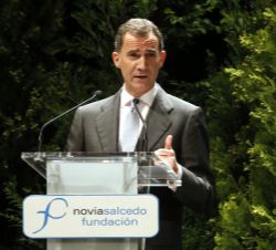 Su Majestad el Rey durante su intervención