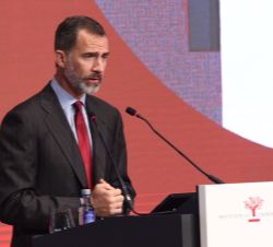 Su Majestad el Rey durante su intervencion en el XIX Congreso Nacional de la Empresa Familiar