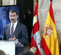 Su Majestad el Rey durante su intervención