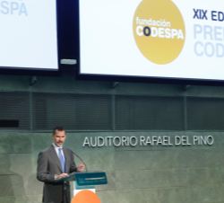 Don Felipe durante su intervención