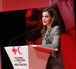 Doña Letizia durante su intervención