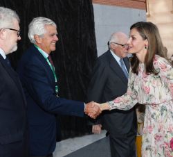 Su Majestad la Reina recibe el saludo del presidente de la AECC, y su Fundación Científica, Ignacio Muñoz, a su llegada al Museo del Prado