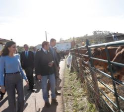 Sus Majestades los Reyes visitan una de las ganaderías de Poreñu