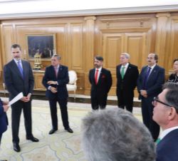 Don Felipe durante el desarrollo de la audiencia