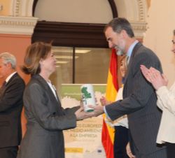Don Felipe durante el acto de entrega de los galardones