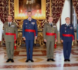 Su Majestad el Rey junto a un grupo de generales de división y vicealmirante asistente a la audiencia