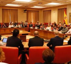 Vista general de la Sala Constitucional donde se celebra el acto institucional del “Día Mundial de la Salud Mental”