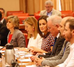 Doña Letizia durante el desarrollo del acto institucional del “Día Mundial de la Salud Mental”