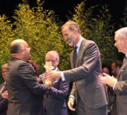 Su Majestad el Rey entrega el premio en la categoría Joven a Diego Echegoyen