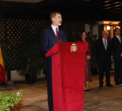 Don Felipe durante sus palabras