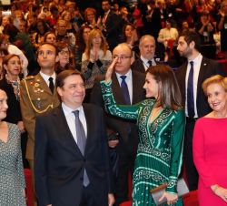 Doña Letizia tras acceder al auditorio del Hotel