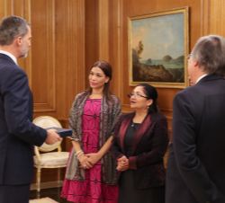 Don Felipe durante el desarrollo de la audiencia