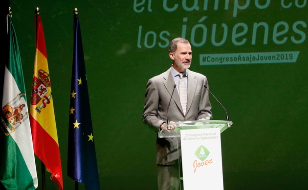 Don Felipe al inicio de su intervención