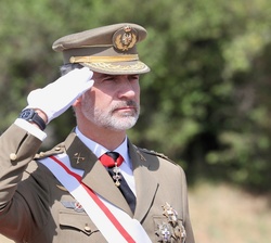 Su Majestad el Rey durante los Honores de Ordenanza
