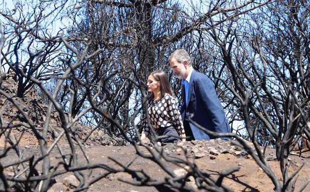 Don Felipe y Doña Letizia durante su recorrido por las zonas más afectadas por los incendios 