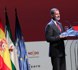 Su Majestad el Rey durante su intervención