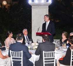 Don Felipe durante su intervención